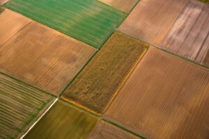 AdobeStock_29486061.jpg