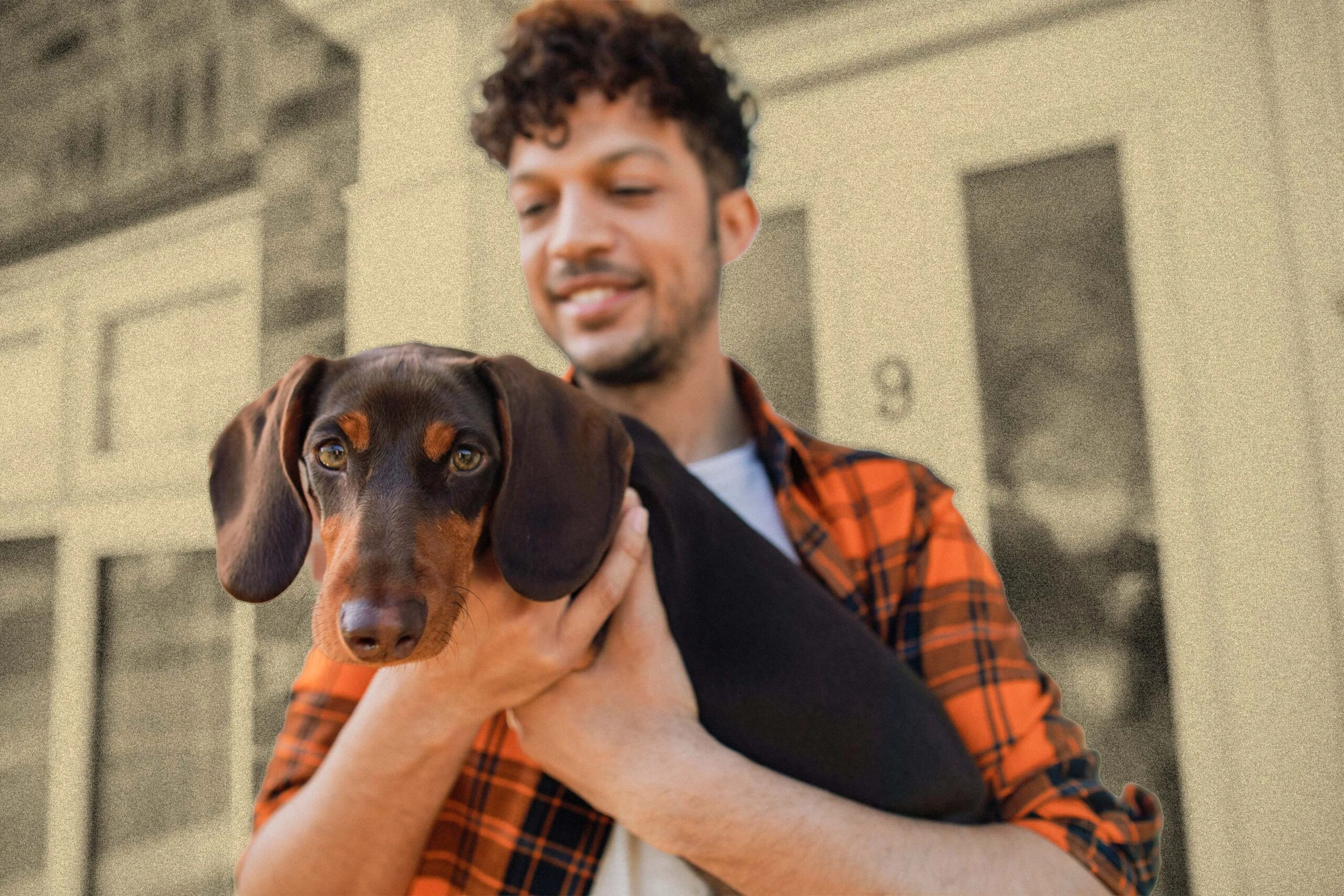 Sponsorship-Pet-Insurance-VS-Wellness-Plans.jpg