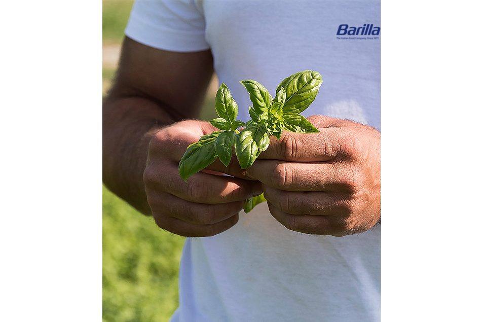 barilla.jpg