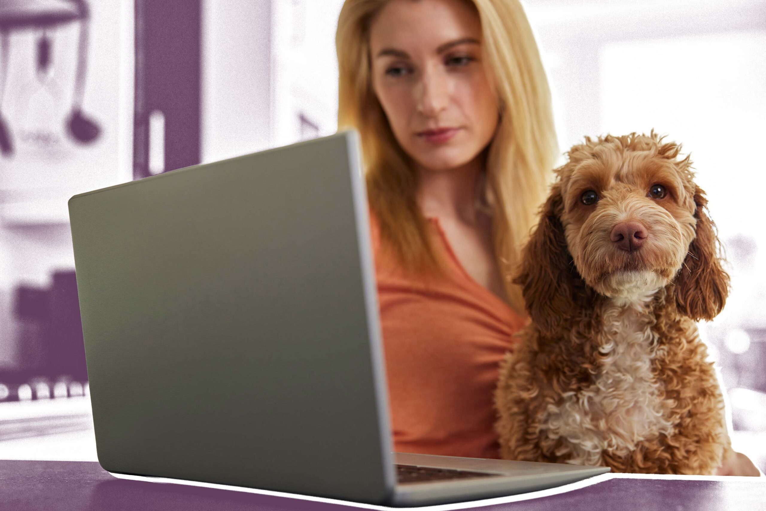 Sponshorship-Pet-Insurance-Appeals.jpg