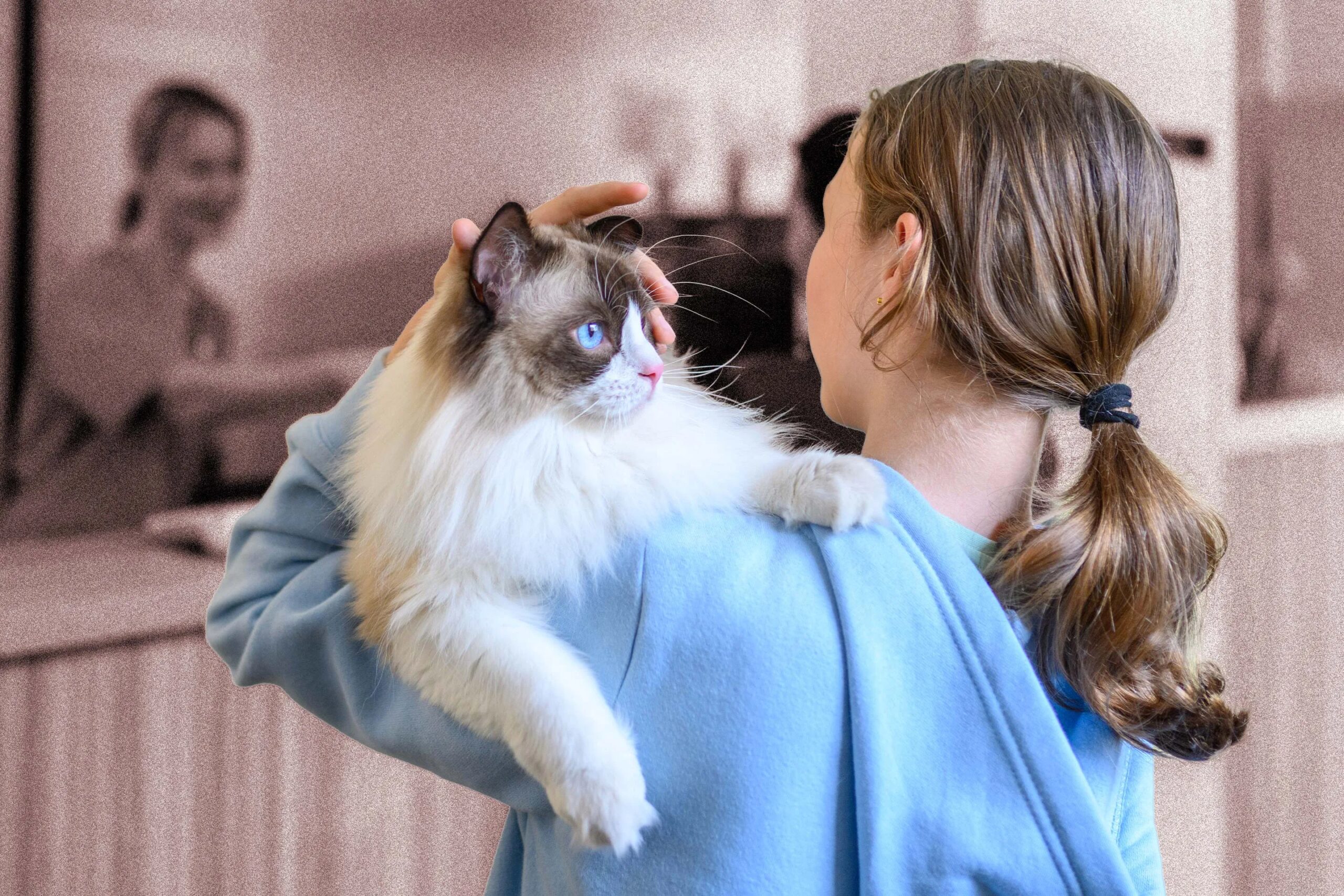 Sponsorship-Pet-Insurance-File-Claim.jpg