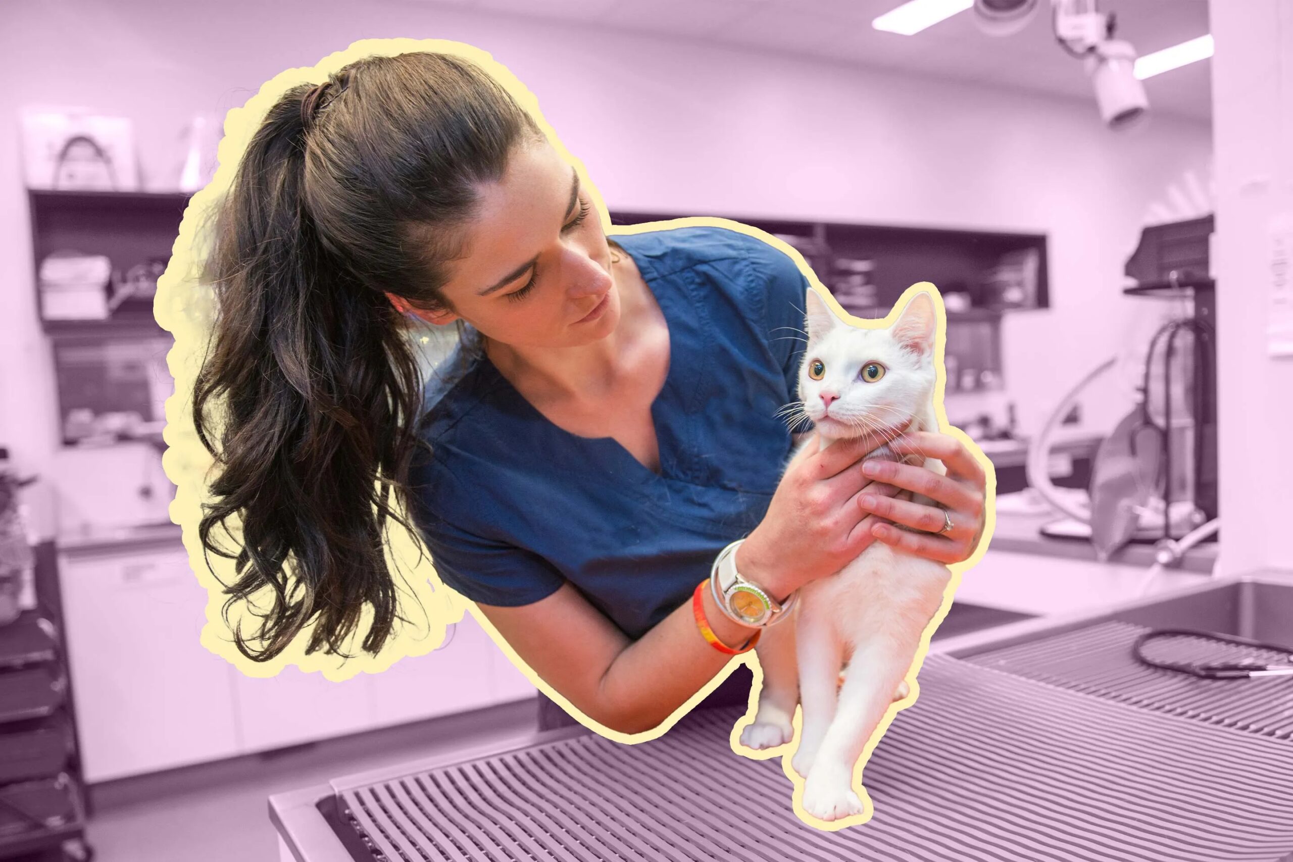 Sponsorship-Pet-Insurance-PreExisting-Conditions.jpg