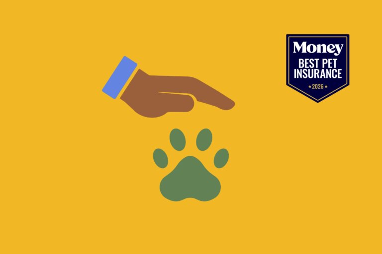 Best-Pet-Insurance-mbci_t7wy3__drovlx.jpg